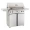 American Outdoor Grill 30" Portable Gas Grill - T Series - 30PCT