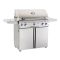 American Outdoor Grill 36PCL Portable Gas Grill - 36PCL